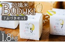 ＜分搗米「BUDUKI」ひめの凜 「7ぶづき」2合入り×6個（1.8kg）＞ ひめのりん 分づき米 ぶづき米 ぶずき米 お米 コメ こめ 選べる 7分づき 玄米 精米 ご飯 もとき農園 愛媛県 西予市【常温】『令和7年11月中旬より順次発送予定』