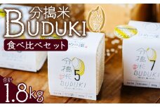 ＜分搗米「BUDUKI」ひめの凜 食べ比べセット 3種類 合計1.8kg＞ ひめのりん 分づき米 ぶづき米 ぶずき米 お米 コメ こめ 選べる 3分づき 5分づき 7分づき 食べ比べ 玄米 精米 ご飯 もとき農園 愛媛県 西予市【常温】『令和7年11月中旬より順次発送予定』