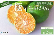 ＜安樹屋 愛媛県明浜産 極早生みかん 約3kg（家庭用）＞ 柑橘 みかん ミカン 蜜柑 果物 くだもの フルーツ ごくわせ 3キロ 産地直送 安樹屋 愛媛県 西予市【常温】『2025年9月中旬～10月中旬に順次出荷予定』