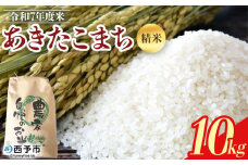 【先行予約】新米 ＜令和7年度 米 あきたこまち 精米 10kg＞ 2025年産 単一原料米 単一米 5キロ 10キロ アキタコマチ お米 コメ こめ 白米 ご飯 ライス りの果樹園 愛媛県 西予市【常温】