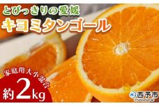 先行予約 ＜とびっきりの愛媛 キヨミタンゴール 約2kg（家庭用大小混合）＞ 訳あり 家庭用 果物 柑橘 フルーツ みかん 蜜柑 オレンジ 清見タンゴール 特産品 片山果樹園 食べて応援 西宇和 愛媛県 西予市【常温】『2026年3月中旬から順次出荷予定』