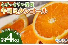 先行予約 ＜とびっきりの愛媛 キヨミタンゴール 約4kg（家庭用大小混合）＞ 訳あり 家庭用 果物 柑橘 フルーツ みかん 蜜柑 オレンジ 清見タンゴール 特産品 片山果樹園 食べて応援 西宇和 愛媛県 西予市【常温】『2026年3月中旬から順次出荷予定』