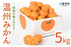 おれんじはーと　温州みかん５kg（数量限定）