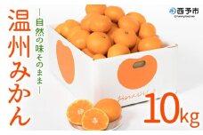 おれんじはーと　温州みかん10kg（数量限定）