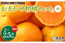 ＜西予の美味しい柑橘セレクト（ご家庭用）／おまかせ柑橘セット（小）約2～2.5kg＞ 果物 くだもの フルーツ 蜜柑 みかん ミカン 柑橘 ご家庭用 温州みかん 食べて応援 国産 愛媛県産 特産品 西予みかん倶楽部 愛媛県 西予市『2月に順次発送』【常温】