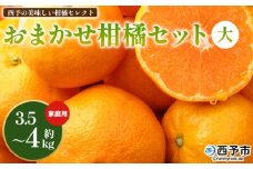 ＜西予の美味しい柑橘セレクト（ご家庭用）／おまかせ柑橘セット（大）約3.5～4kg＞ 果物 くだもの フルーツ 蜜柑 みかん ミカン 柑橘 ご家庭用 温州みかん 食べて応援 国産 愛媛県産 特産品 西予みかん倶楽部 愛媛県 西予市『1月に順次発送』【常温】