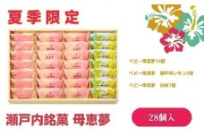 ベビー母恵夢詰合せ　28個入り【夏季限定】 [№5303-0007]