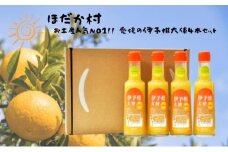 お土産人気NO1！！ 愛媛の伊予柑大使4本セット [№5303-0079]