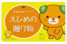カタログギフト「えひめの贈り物」こみきゃん（全34品から選択）[№5303-0269]