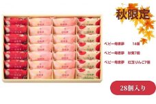 ベビー母恵夢詰合せ　28個入り [№5303-0129]