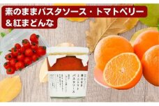 「栗林農園」素のままパスタソースとトマトベリーと紅まどんなのセット 素材の味 無水調理 凝縮 無着色 無香料 化学調味料 不使用 合成保存料 ミニトマト みかん [№5303-0140]