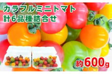 「栗林農園」カラフルミニトマト詰合せ [№5303-0141]