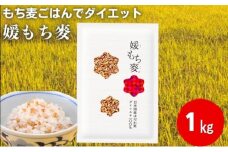 媛もち麥1kg／もち麦 麦ごはん 雑穀 [№5303-0152]