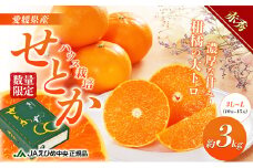 せとか ハウス栽培　赤秀　約3kg [№5303-0211]