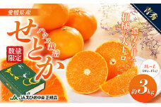 せとか ハウス栽培　青秀　約3kg [№5303-0212]
