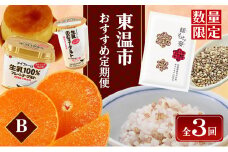 東温市おすすめ定期便Bセット【数量限定】 [№5303-0231]