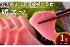 愛媛県産養殖「媛スマ」 [№5303-0233]
