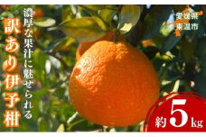 訳あり伊予柑 約5kg 東温市産 サイズお任せ 今が旬 農園直送 みかん 人気 数量限定 先行予約 柑橘 蜜柑 ミカン 愛媛みかん かんきつ 国産 愛媛県 産地直送 フルーツ 果物 くだもの 甘い 5キロ箱 [№5303-0234]
