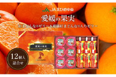 NO.15愛媛の果実（平箱）紅まどんな(R)ゼリー＆柑橘紅まどんな(R)入りゼリー[№5303-0252]