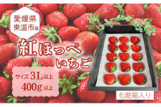 愛媛県東温市産いちご【紅ほっぺ 】サイズ3L以上 400g以上【大粒 化粧箱入り 甘い フルーツ ケーキ 旬 品種 高級 イチゴ 苺】[№5303-0261]