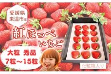 愛媛県東温市産いちご【紅ほっぺ】大粒 秀品 7粒～15粒 化粧箱入り 【甘い フルーツ ケーキ 旬 品種 高級  イチゴ 苺】[№5303-0261]