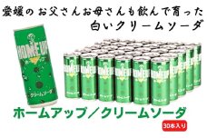 らくれんホームアップ　30本入り クリームソーダ 炭酸飲料 [№5303-0108]
