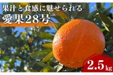 愛果28号 約2.5kg 東温市産 サイズお任せ 「 紅まどんな 」の同一品種（品種名： 愛媛果試28号 ） 今が旬 農園直送 みかん 人気 数量限定 先行予約 愛媛みかん かんきつ 愛媛県 フルーツ 果物 くだもの 甘い [№5303-0232]