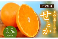 せとか L～3Lサイズ　2.5kg　ご家庭用[№5303-0279]