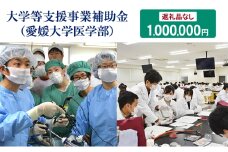 【お礼の品なし】大学等支援事業補助金（愛媛大学医学部）　1,000,000円 [№5303-0278]