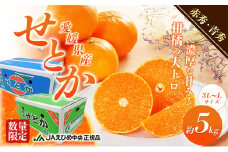 露地せとか　赤秀・青秀　約5kg [№5303-0213]