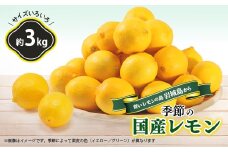 青いレモンの島　レモン約3kg【1092711】
