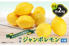 ＜7月出荷＞青いレモンの島　貯蔵蔵出しジャンボレモン2kg(冷蔵)【1113730】