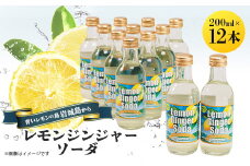 レモンジンジャーソーダ 200ml×12本セット(岩城島産レモン使用)【1229453】