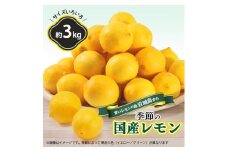 ＜7月出荷＞　貯蔵蔵出し国産レモン約3kg(冷蔵便発送)※サイズはS玉～2L玉のいずれか、混載【1299053】