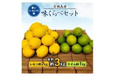 青いレモンの島　レモン約2kgとライム約1kg＜味くらべセット＞【1363515】