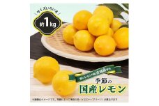 ＜7月出荷＞青いレモンの島　貯蔵蔵出しレモン約1kg＜お試しセット＞(冷蔵便発送)【1403449】