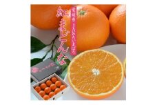 ＜先行受付＞紅まどんな　化粧箱　3L～L　10～15玉　愛媛県　JAおちいまばり【1438675】
