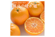 ＜先行受付＞瀬戸の晴れ姫　2L～Sサイズ　4kg(25～60玉)　愛媛県　JAおちいまばり【1439143】