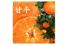 ＜先行受付＞甘平(かんぺい)化粧箱　4L～2Lサイズ　8～12玉　愛媛県JAおちいまばり【1439146】