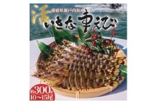 愛媛県瀬戸内海産　いきな車えび 約300g(10～15尾)【1445481】
