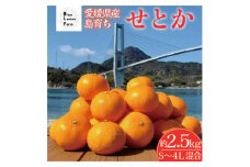 愛媛　ブルーレモンファームのせとか　2.5kg　サイズ混合＜数量限定＞【1489640】