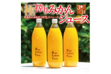 愛媛　ブルーレモンファームのごくしぼりみかんジュース　1L　3本【1489663】