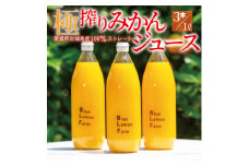 愛媛　ブルーレモンファームのごくしぼりみかんジュース　1L　3本【1489663】