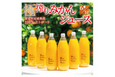 愛媛　ブルーレモンファームのごくしぼりみかんジュース　1L　6本【1489673】