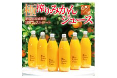 愛媛　ブルーレモンファームのごくしぼりみかんジュース　1L　6本【1489673】