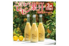 愛媛　ブルーレモンファームのレモン果汁　720ml×3本セット【1489700】