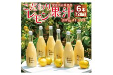愛媛　ブルーレモンファームのレモン果汁　720ml×6本セット【1489706】