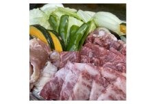 熟成ジビエBBQ付キャンプ場ご利用プラン ＜3人様用引換券＞【1489575】