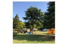 熟成ジビエBBQ付キャンプ場ご利用プラン ＜5人様用引換券＞【1489564】