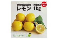 愛媛　ブルーレモンファームのレモン　1kg＜冷蔵便＞期間・数量限定【1504315】